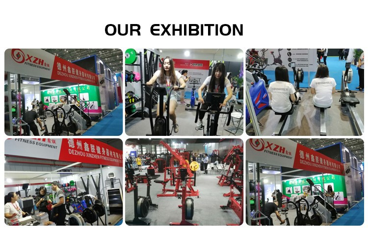 EXHIBITION EXHIBITION